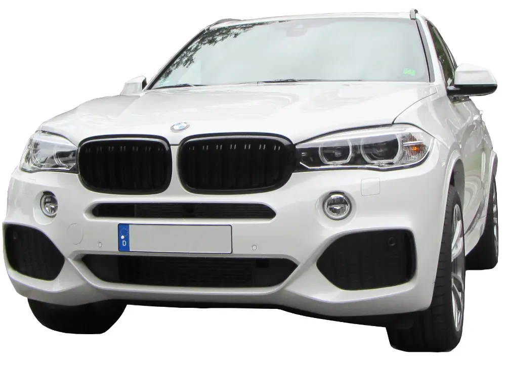 Ověřený Ledvinky přední masky s dvojitým žebrováním pro BMW X5 F15 (2013-)