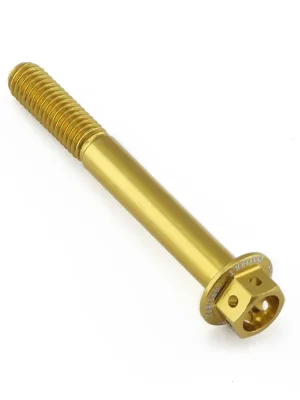 Nejlepší Cena Pro-Bolt hliníkový šroub s šestihrannou hlavou 12 mm, závitem M6 x 1,00 mm a délkou závitu 50 mm, barva: zlatá