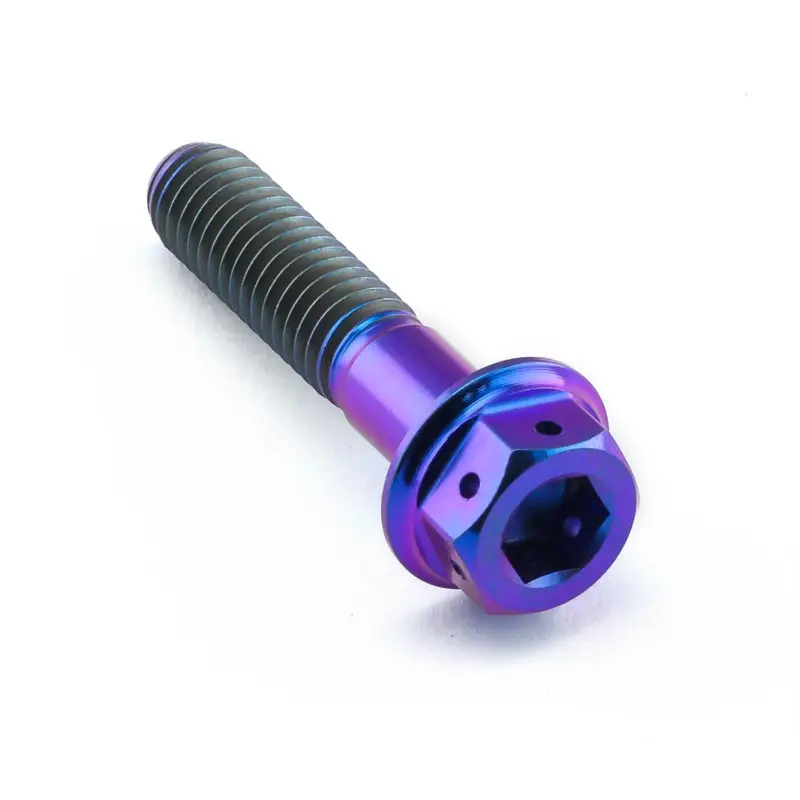 Pro-Bolt titanový šroub s DualDrive hlavou (šestihran + inbus) se závitem M6 x 1,00 mm a délkou 28 mm, barva opálená fialová Poslední Šance