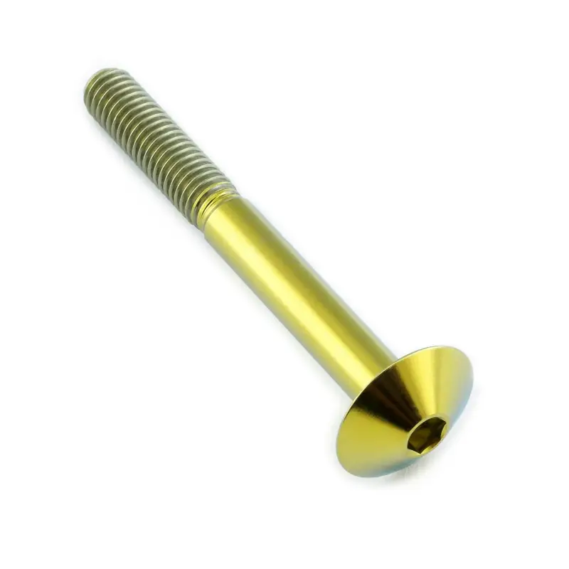 Pro-Bolt titanový inbusový šroub s vypouklou hlavou se závitem M6 x 1,00 mm a délkou 55 mm, barva přírodní Víkendová Akce