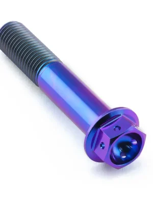 Dokud Zásoby Vydrží Pro-Bolt titanový šroub s šestihrannou hlavou se závitem M10 x 1,25 mm a délkou 55 mm, barva opálená fialová