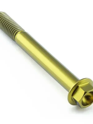 Kup Teď Pro-Bolt titanový šroub s šestihrannou hlavou se závitem M8 x 1,25 mm a délkou 70 mm, barva zlatá