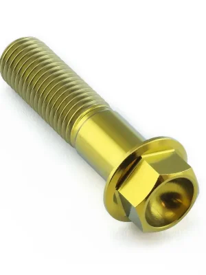 Jen Po Omezenou Doba Pro-Bolt titanový šroub s šestihrannou hlavou se závitem M10 x 1,25 mm a délkou 40 mm, barva přírodní