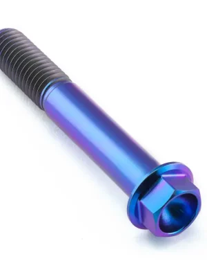 Horká Nabídka Pro-Bolt titanový šroub s šestihrannou hlavou se závitem M10 x 1,50 mm a délkou 65 mm, barva opálená fialová