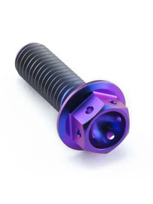 Akce Pro-Bolt titanový šroub s šestihrannou hlavou se závitem M8 x 1,25 mm a délkou 25 mm, barva opálená fialová