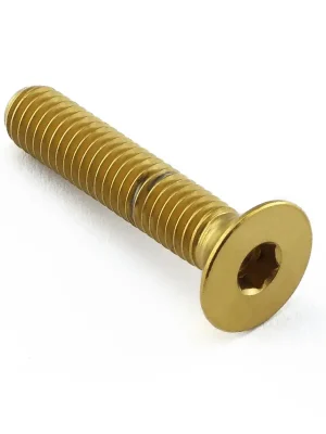 Kup Teď Pro-Bolt nerezový inbusový šroub se zápustnou hlavou se závitem M6 x 1,00 mm a délkou 26,25 mm, barva zlatá