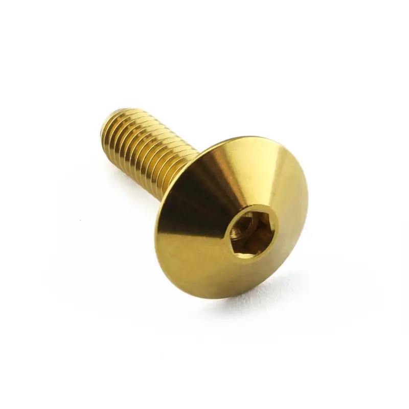 Pro-Bolt nerezový inbusový šroub s vypouklou hlavou o průměru 16 mm se závitem M6 x 1,00 mm a délkou 20 mm, barva zlatá Speciální Cena