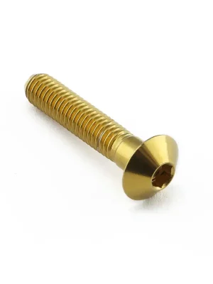 Nejlepší Cena Pro-Bolt nerezový inbusový šroub s vypouklou hlavou o průměru 12 mm se závitem M6 x 1,00 mm a délkou 30 mm, barva zlatá