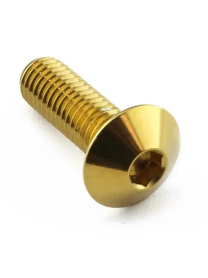 Cenová Bomba Pro-Bolt nerezový inbusový šroub s vypouklou hlavou o průměru 16 mm se závitem M8 x 1,25 mm a délkou 25 mm, barva zlatá