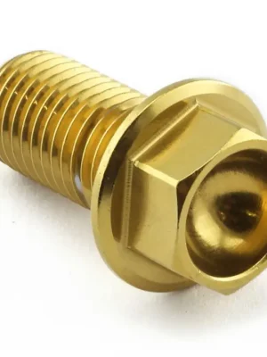 Kup Teď Pro-Bolt nerezový šroub s šestihrannou hlavou se závitem M10 x 1,25 mm a délkou 20 mm, barva zlatá