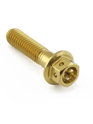 Víkendová Akce Pro-Bolt nerezový šroub s šestihrannou hlavou se závitem M6 x 1,00 mm a délkou 25 mm, barva zlatá