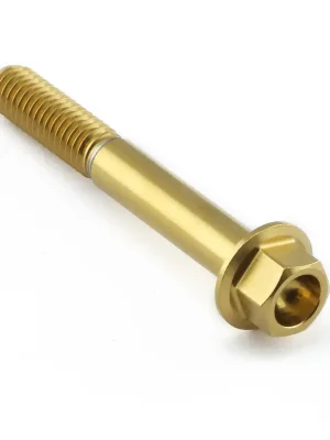 Must-Have Pro-Bolt nerezový šroub s šestihrannou hlavou se závitem M6 x 1,00 mm a délkou 45 mm, barva zlatá