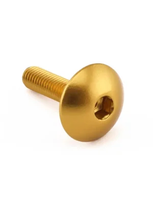 Koupit Online Pro-Bolt hliníkový inbusový šroub s vypouklou hlavou o průměru 16 mm se závitem M5 x 0,80 mm a délkou závitu 20 mm, barva zlatá