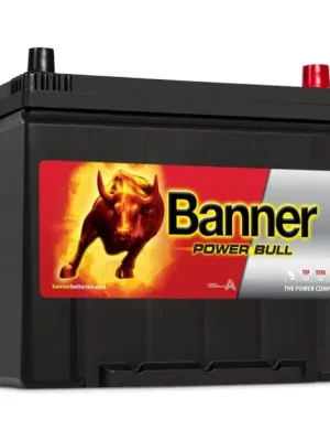 Poslední Šance Autobaterie Banner Power Bull 12V 70Ah 570A, P7029, technologie Ca/Ca
