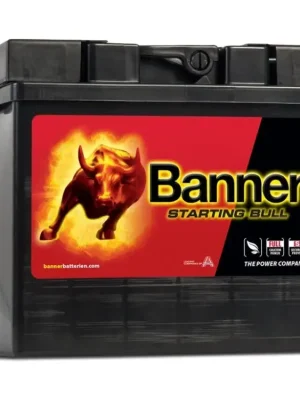 Expresní Doručení Autobaterie Banner Starting Bull 30Ah,300A, 12V technologie Ca/Ca (530 34)