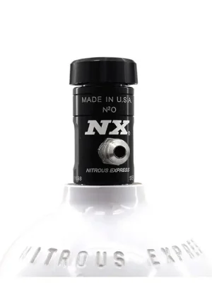 Levný Motorcycle Bottle Valve Only 1Lb and Smaller Nitrous Express NX 11696