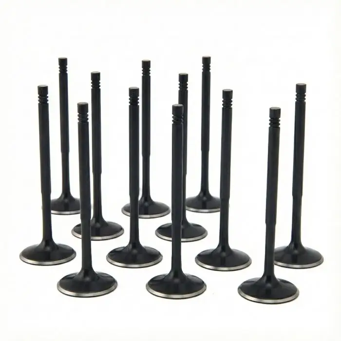 Finální Výprodej ZRP Std standardní sací ventily Black Nitride pro BMW 3.2L S50 S54