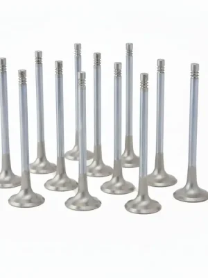 Bezpečná Platba ZRP standardní výfukové ventily z Inconelu pro Audi VW Volkswagen 4.2L R8 32V FSI