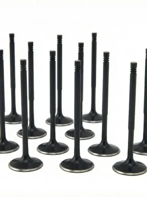 Aktuální ZRP Std standardní sací ventily Black Nitride pro Audi VW Volkswagen 3.0L Turbo RS4 RS5 EA839