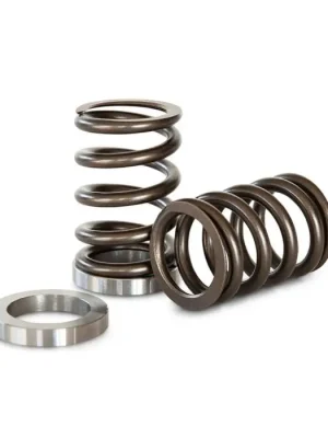 Ventilové pružiny Kelford Cams Nissan RB25DET NVCS Ihned K Objednání