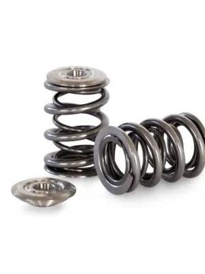 Pouze Dnes Dvojité ventilové pružiny a titanové misky Kelford Cams Nissan RB30E SOHC