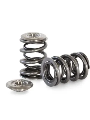Dvojité ventilové pružiny a titanové misky Kelford Cams Honda B16A B18C Časově Omezené
