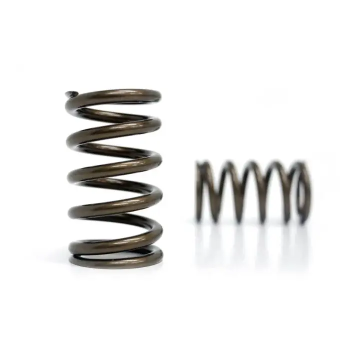 Ventilové pružiny Kelford Cams Subaru EJ20 EJ255 WRX Pouze Dnes