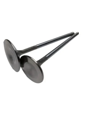 Top Prodej Intake valves BC Brian Crower BC3014 34mm Honda Civic, CRX, Integra 1.6/1.8 VTEC