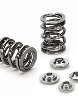 Speciální Cena Ventilové pružinky Dual SuperTech Nissan SR20-VE 2.0l DOHC (93lbs@37.5mm)